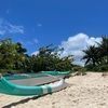 alohakelbel808